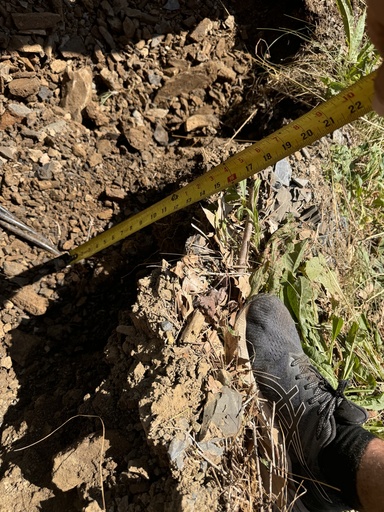 Trenching (Dealer) (per Foot)